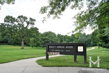 Bailey Hobson Woods in Naperville, IL