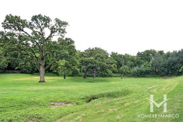 Bailey Hobson Woods in Naperville, IL