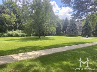 Burr Oak in Naperville, IL