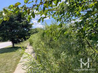 Carol Acres in Naperville, IL