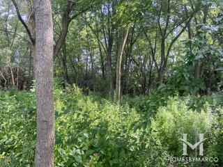 Country Lakes Park in Naperville, IL