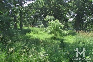 Decker Park in Cary, IL