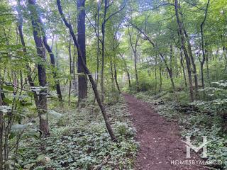 Goodrich Woods in Naperville, IL