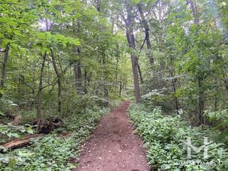 Goodrich Woods in Naperville, IL