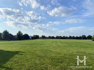 High Meadow in Naperville, IL