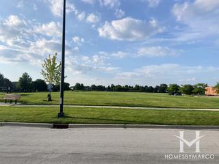 High Meadow in Naperville, IL