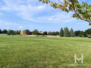 High Meadow in Naperville, IL