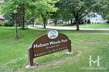 Photos of Hobson Woods in Naperville, IL