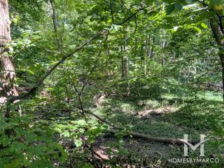 Kings Park in Naperville, IL