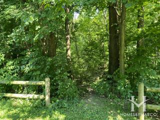 Kings Park in Naperville, IL