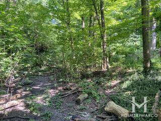 Kings Park in Naperville, IL