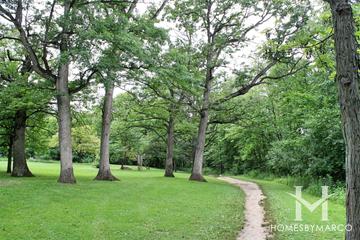 Knoch Knolls Greenway in Naperville, IL