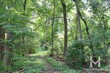 Lincoln Woods in Naperville, IL