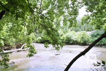 Lincoln Woods in Naperville, IL