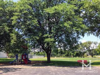 Photos of Mill Street Park in Naperville, IL