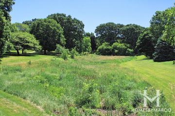 Photos of Oakridge Parkway in Naperville, IL