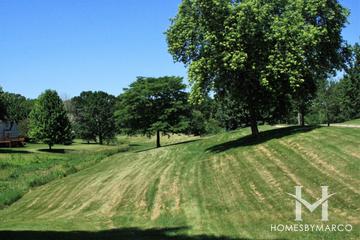 Oakridge Parkway in Naperville, IL