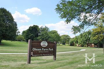 Photos of Olesen Farm Park in Naperville, IL