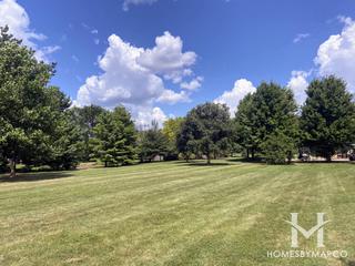 River Run Preserve North in Naperville, IL