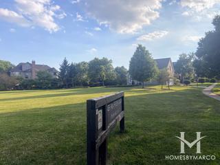 River Run Preserve South in Naperville, IL