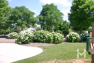 Wentworth Park in Cary, IL