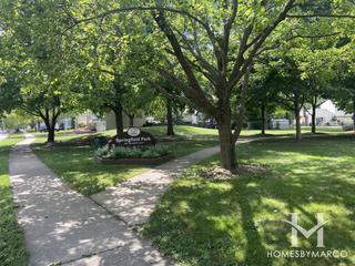 Spring-Field Park in Naperville, IL