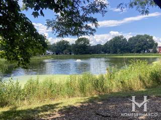 Springbrook Crossings in Naperville, IL