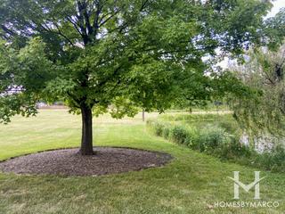 Springbrook Crossings in Naperville, IL