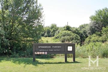Photos of Springbrook Parkway in Naperville, IL