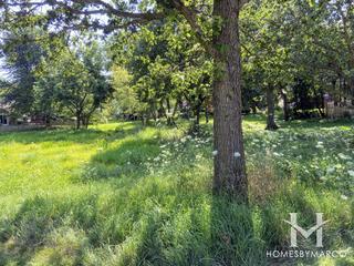 Springhill Greenway in Naperville, IL