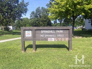 Photos of Springhill Park in Naperville, IL