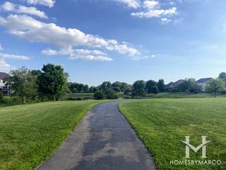 Tall Grass Lakes in Naperville, IL