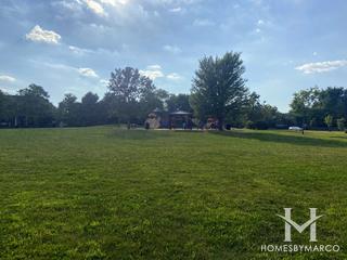 Tall Grass Lakes in Naperville, IL
