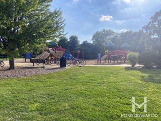 Tall Grass Lakes in Naperville, IL