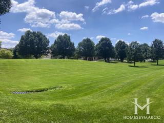 Three Meadows in Naperville, IL