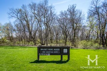 Photos of Walnut Ridge Woods in Naperville, IL