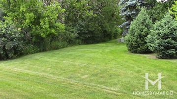 West Branch Parkway in Naperville, IL