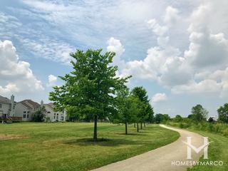 Wildflower Park in Naperville, IL