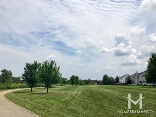 Wildflower Park in Naperville, IL