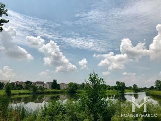 Wildflower Park in Naperville, IL