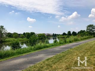 Wildflower Park in Naperville, IL