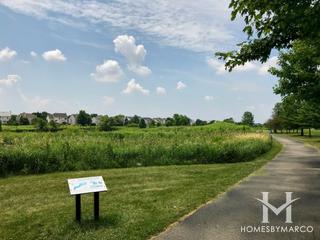 Wildflower Park in Naperville, IL