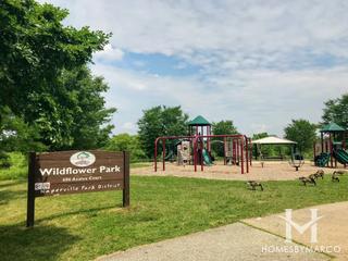 Wildflower Park in Naperville, IL