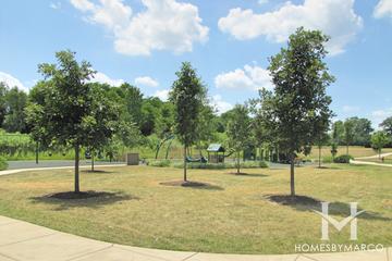 Townline Community Park in Lake Forest, IL
