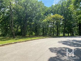 Forty Acre Woods Forest Preserve in Palos Park, IL