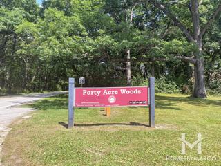 Photos of Forty Acre Woods Forest Preserve in Palos Park, IL