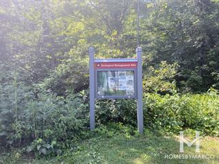 McClaughry Springs Woods Forest Preserve in Palos Park, IL