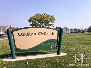 Wetlands Park in Aurora, IL