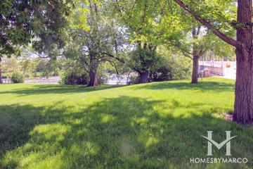 Steck Park in Aurora, IL