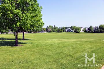 Pine Creek Park in Aurora, IL